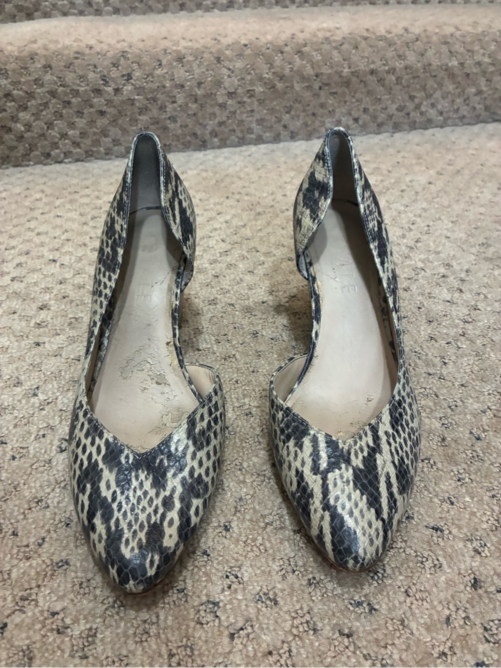 Pointed D’Orsay Flats in Snake Print (Beige/Black)